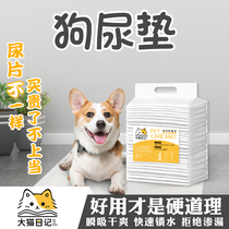 Dog Urine Mat Diaper Pet Suction Pad Deodorant Induce on Toilet Kitty Disposable Uretic Care Mat
