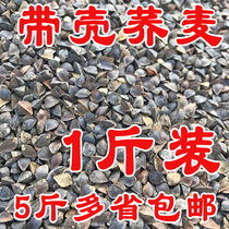 Buckwheat with shell buckwheat carrier pigeon ornamental pigeon parrot bird eating hamster chinchilla grain 500g 5kg