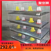 Four-layer chicken cage encrypted thick brood cage Large off-temperature brood trough manure plate automatic equipment