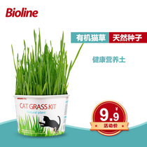 Bioline 300 Cat Grass Seeds Potted Planting Set Wheatgrass Seeds Catnip Snacks