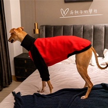 GINGERAIN big dog clothes Gree dog spirit Tihuibit medium-sized dog Large dog pet autumn and winter