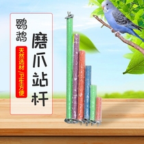 Parrot scrub station pole pepper wood grinding claw stick molar scrub stick station stick starling toy station bar rack bird supplies