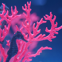 Simulation red coral sea-tree seahorse fish tank aquarium building with small swing piece branch soft rubber adornment