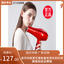 Wen Biquan electric hot and cold dormitory student hair dryer household size power negative ion Hair Care Net red wind tube