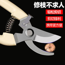 Flower scissors pruning shears branch scissors horticultural scissors rough scissors garden fruit tree scissors hardware tools picking fruit scissors