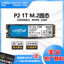 Critical 1T SSD Solid State Drive M2 Interface (NVMe Protocol) P2 Series