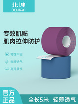 North Jian Muscle Patch Acrylic Glue to Min Rate Low with mesh elastic cotton cloth breathable Good