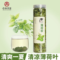 Xinglin Caotang Flower Tea Peppermint Leaf Dry Peppermint Tea Mint Leaf Tea Chewing Fresh herbal tea for drinking