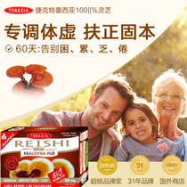 Czech Thericia pure Ganoderma lucidum capsules nourish and support the deficiency improve physical weakness fatigue and prevent sleepiness