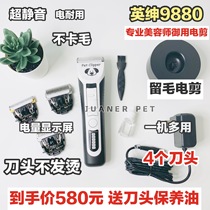 Yingshen professional pet electric shearing LB-9880 shaver beautician professional hair big electric shearing fader universal