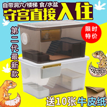 Reptile climbing pet integrated feeding box HORNED FROG SPIDER LIZARD BAO WEN PALACE SNAKE CLIMBING pet FEEDING box