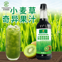 Shield Royale Wheat Straw Chic Exotic Fruit Juice 1L Compound Concentrated Juice Green Juice Drink Milk Tea Shop Exclusive Raw Material Recipe