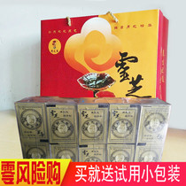 Yezhitang Ganoderma Lucidum Spore powder Bozhou Anhui authentic Changbaishan non-added Nyingchi robe powder 500 grams of new products