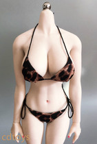 cdtoys 1 6 cd009 trendy sexy BAO WEN bikini suitable for rubber-coated female soldiers human body spot