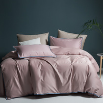 Light luxury four-piece set cotton pure cotton 60 pieces satin plush cotton European embroidery Simple bed sheet duvet cover Bedding