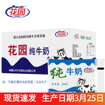 Xinjiang Special Garden Pure Milk Bailey Pack Ultra - temperature full - fat 200mlx20 bag nutrition official