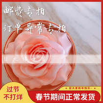 Huge cat sauce link to supplement postage special order abnormal special order no refund no change