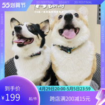 Small B cub US Rav Weill Pet Item Circle RW Ryan guest webbing Cat Dog Half P Adjustable Kirky Traction