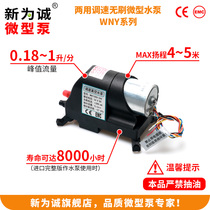 24v maintenance-free vacuum liquid pump 12V DC water pump New for cheng WNY180-600-1000 factory direct sales