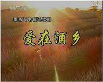 Support DVD Mexico Love in the Wine Country CCTV national soundtrack full 80 episodes 8 discs