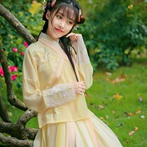Xin Xin Yi original Hanfu womens Chinese style daily collar super fairy waist skirt Han element spring and summer ancient style suit