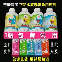 Haibao white spot net rotten body rotten tail mouth cotton disease Small melon worm needle tail powdery disease Fish potion mildew treatment methyl blue