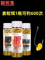 Wheat grain bait wild fishing Heikeng Valley wheat Crucian carp carp grass carp Old altar wheat hook bait bait bait big fish