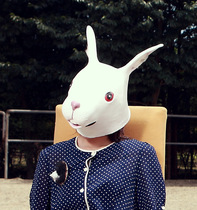 Rabbit headgear cos animal orangutan Japanese Halloween Hood horse head female cute model wearing rabbit animal mask