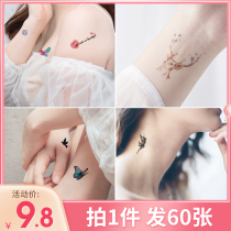 60 tattoo stickers waterproof female male lasting fresh ins wind net red sticker cream non-permanent simulation sexy tattoo