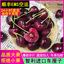 Chile imported cherries 10kg seasonal fresh extra large cherry pregnant woman seasonal fruit whole box Black Pearl