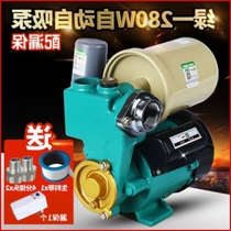 Self-booster high head automatic pump pump suction pump well water self-priming 750w220v household tap water