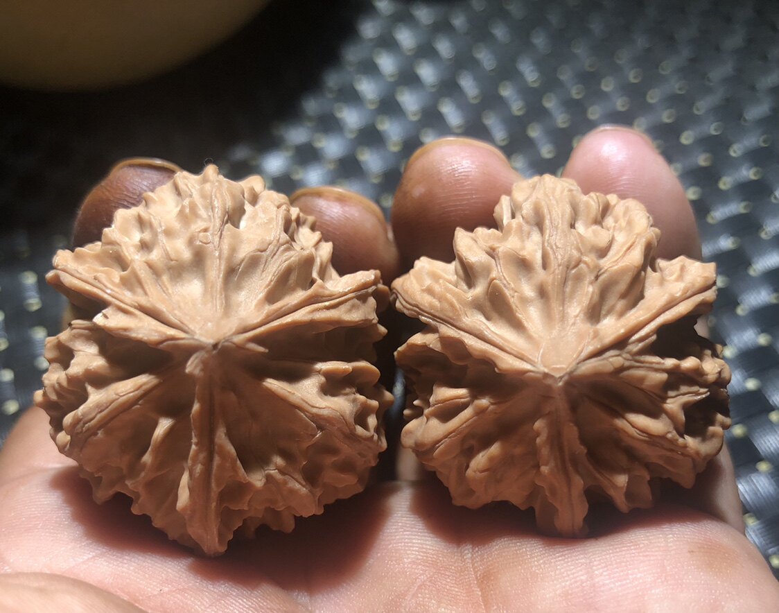 2021 New Walnut Lower Tree Pure Wild Positive Running Trigone Lions Heads 38 Special Produce Boutique Sanelles Old Trees