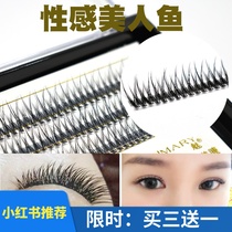 Grafted false eyelashes female supernatural segmented hair single cluster fish tail dovetail new self-grafting single eyelash