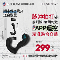 American svakom prostate massager orgasm male anal sex products back court development outside wearable plug