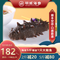 Mingwei wild ready-to-eat sea cucumber single-loaded Dalian sea cucumber non-dry fresh Liaoshen flagship store sea seepage 500g