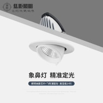 Small elephant nose light led spotlight embedded Villa mural background wall COB light shop clothing store commercial ceiling light