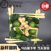 Thailand imported fresh winter shade Gong Spice set Winter Yingong soup hot and sour soup seasoning 500g