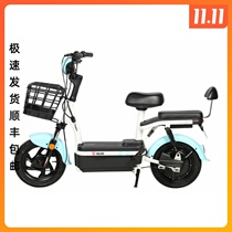 Tapang electric car Xiao Aiyuan new national standard lead-acid battery adult scooter battery car electric bicycle