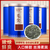 2021 spring tea authentic Xinyang Maojian tea bulk green tea fresh bud new tea strong flavor canned with a total of 250g