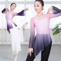Stretch coat dance suit female adult classical dance practice gauze ballet long body training suit