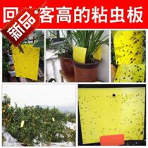 Aphid exterminator mosquito Tea Garden greenhouse paste yellow board coated paper yellow board aphid board c sticky fly double-sided sticky insect board board board stick