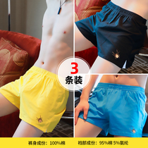 Arro Pants Loose Mens Underwear Four-corner Pants Pure Cotton Personality Trendy Sports Mens Big Code Pants Head Home Youth