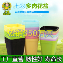 Jinnong small black square seven square multi-meat plastic flower pot small color succulent plant pot features cost-effective square basin