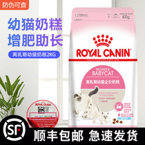 Royal Cat Cat Cat Food BK34 Kitty Food Cat Cat Cat Cat Cat Cat Cat Cat Cat Cat Cat Cat Cat Cat Cat Cat Cat Cat Cat Cat Cat Cat Cat Cat Cat Cat Cat Cat Cat Cat Cat Cat Cat Cat Cat Cat Cat Cat Cat Cat Cat Cat Cat Cat Cat Cat Cat Cat Cat Cat Cat Cat Cat Cat Cat Cat Cat Cat Cat Cat Cat Cat Ca