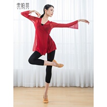 Ancient style Chinese style classical dance body rhyme gauze shirt shirt female adult dance practice clothes elegant adult net gauze costume