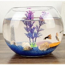  Transparent round tank Round goldfish tank Ecological creative glass fish tank Goldfish tank Hydroponic tank Vase special offer