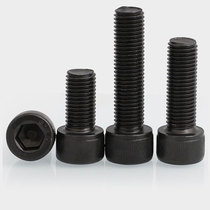 M10 * 1 1 25 M12 * 1 25 12 9 grade fine tooth hexagon socket head young tooth cylindrical head bolt