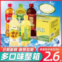 Jinmailang sour plum soup 500mL * 15 bottles of whole box of Honey grapefruit crystal sugar Sydney green plum green tea juice drink