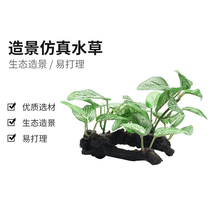 Cool climbing turtle tank fish tank landscaping simulation aquatic plant aquarium full set of decorative fake aquatic plant rockery small ornaments