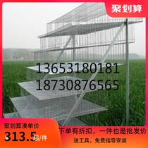 Quail cage Breeding cage Stepped 6-layer vertical 5-6-layer quail cage Household partridge cage bold encryption